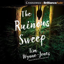 Ruinous Sweep, The|Wynne-Jones, Tim