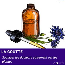 Goutte|Labescat, Jacques