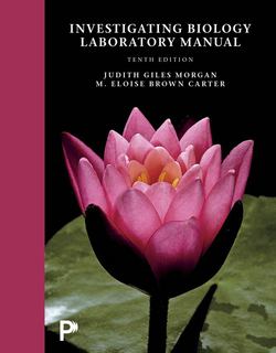 Investigating Biology|Judith Morgan