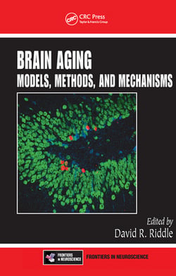 Brain Aging|David R. Riddle