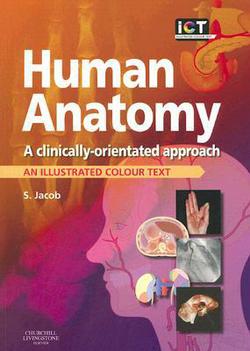 Human Anatomy|Sam Jacob
