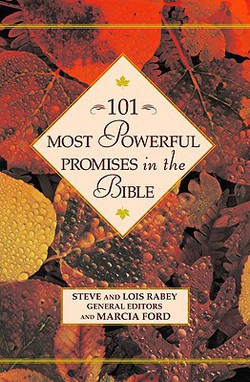 101 Most Powerful Promises in the Bible|Steve