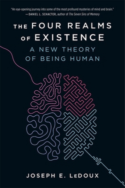The Four Realms of Existence|Joseph E. LeDoux