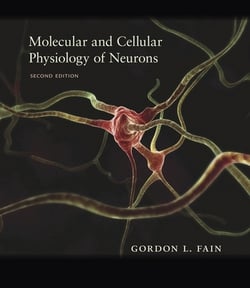 Molecular and Cellular Physiology of Neurons|Gordon L. Fain