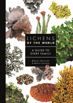 Lichens of the World|Bibiana Moncada