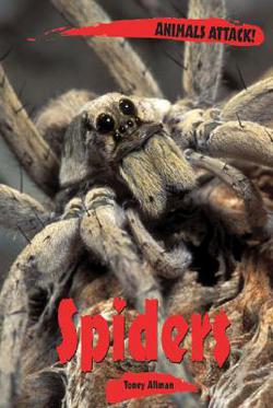 Spiders|Toney Allman