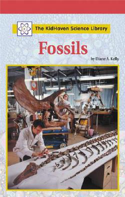 Fossils|Diane Kelly