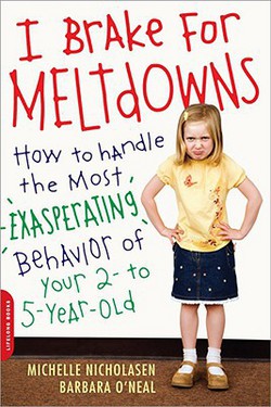 I Brake for Meltdowns|Michelle Nicholasen