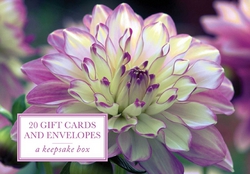Tin Box of 20 Gift Cards and Envelopes|Peony Press