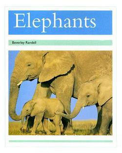 Elephants|Rigby