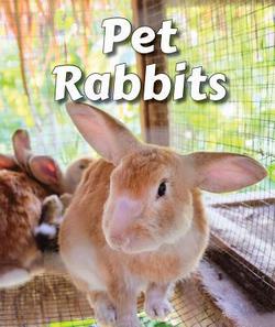 Pet Rabbits|Cecelia H. Brannon