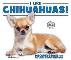 I Like Chihuahuas!|Linda Bozzo