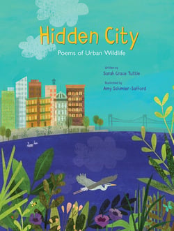 Hidden City|Tuttle