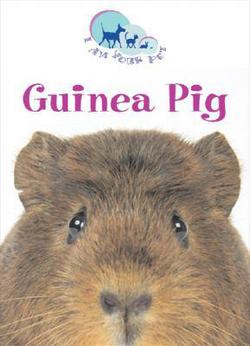 Guinea Pig|Matthew Rayner
