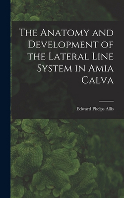 The Anatomy and Development of the Lateral Line System in Amia Calva|Edward Phelps Allis