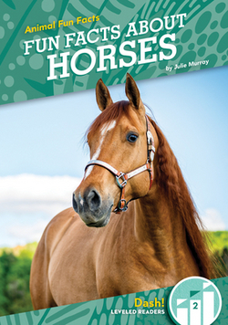 Fun Facts about Horses|Julie Murray