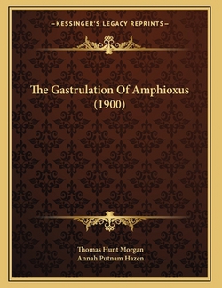 The Gastrulation Of Amphioxus (1900)|Thomas Hunt Morgan