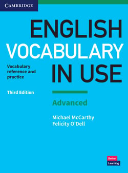 English Vocabulary in Use|Michael McCarthy