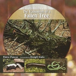 The Ecosystem of a Fallen Tree|Elaine Pascoe