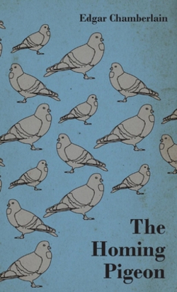 The Homing Pigeon|Edgar Chamberlain