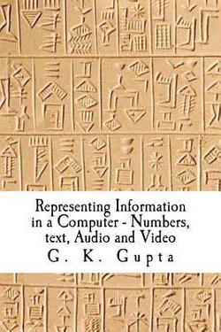 Representing Information in a Computer|G. K. Gupta