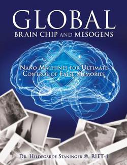 Global Brain Chip and Mesogens|Hildegarde Staninger (R) Riet-1