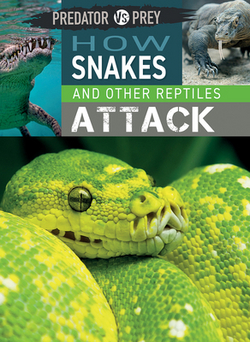 How Snakes and Other Reptiles Attack|Tim Harris
