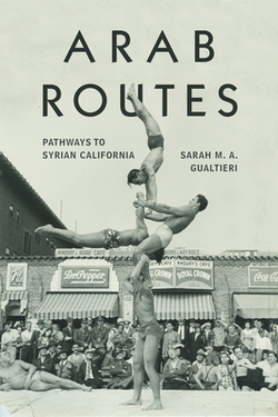 Arab Routes|Sarah M. a. Gualtieri