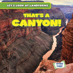 That's a Canyon!|Dwayne Hicks