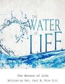 The Water of Life|Carl W. Rice D. D.