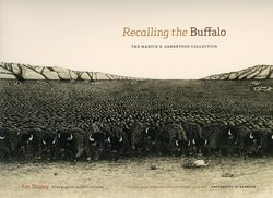 Recalling the Buffalo|Ken Tingley