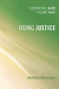 Doing Justice|Anthony E. Mansueto