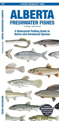 Alberta Freshwater Fishes, 3rd Ed|Matthew Morris