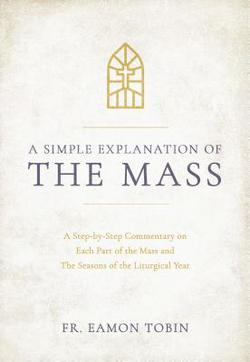 A Simple Explanation of the Mass|Fr Eamon Tobin
