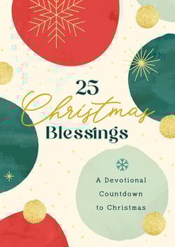25 Christmas Blessings|Dena Dyer