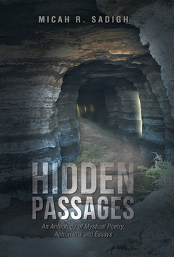 Hidden Passages|Micah R. Sadigh