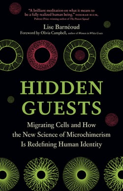 Hidden Guests|Lise Barnéoud