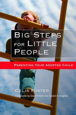 Big Steps for Little People|Daniel Hughes