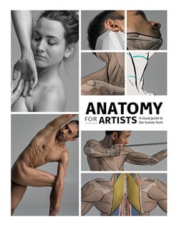 Anatomy for Artists|Publishing