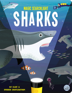 Magic Searchlight - Sharks|Kit Elliot