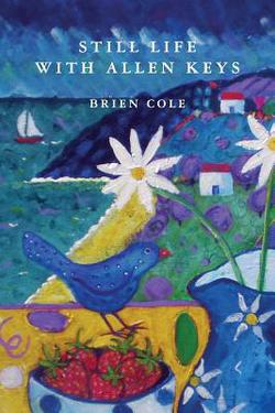 Still Life with Allen Keys|Brien Cole