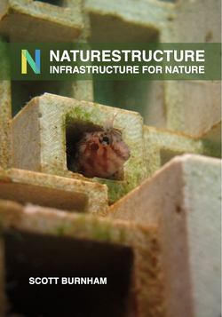NatureStructure|Scott Burnham