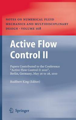 Active Flow Control II|Rudibert King