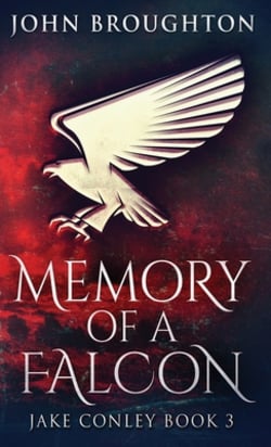 Memory Of A Falcon|John Broughton