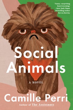 Social Animals|Camille Perri
