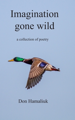 Imagination Gone Wild|Tim Saunders