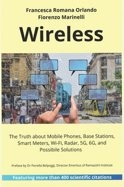Wireless|Fiorenzo Marinelli