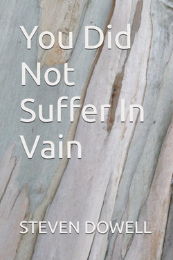 You Did Not Suffer In Vain|Steven Dowell