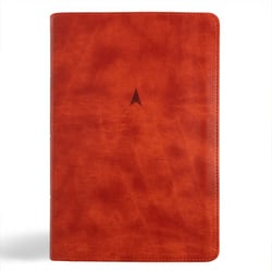 CSB Church Bible, Anglicised Edition, British Tan Leathertouch|Csb Bibles by Holman
