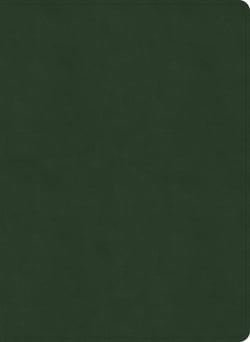 NASB Study Bible, Olive Leathertouch, Indexed|Holman Bible Publishers